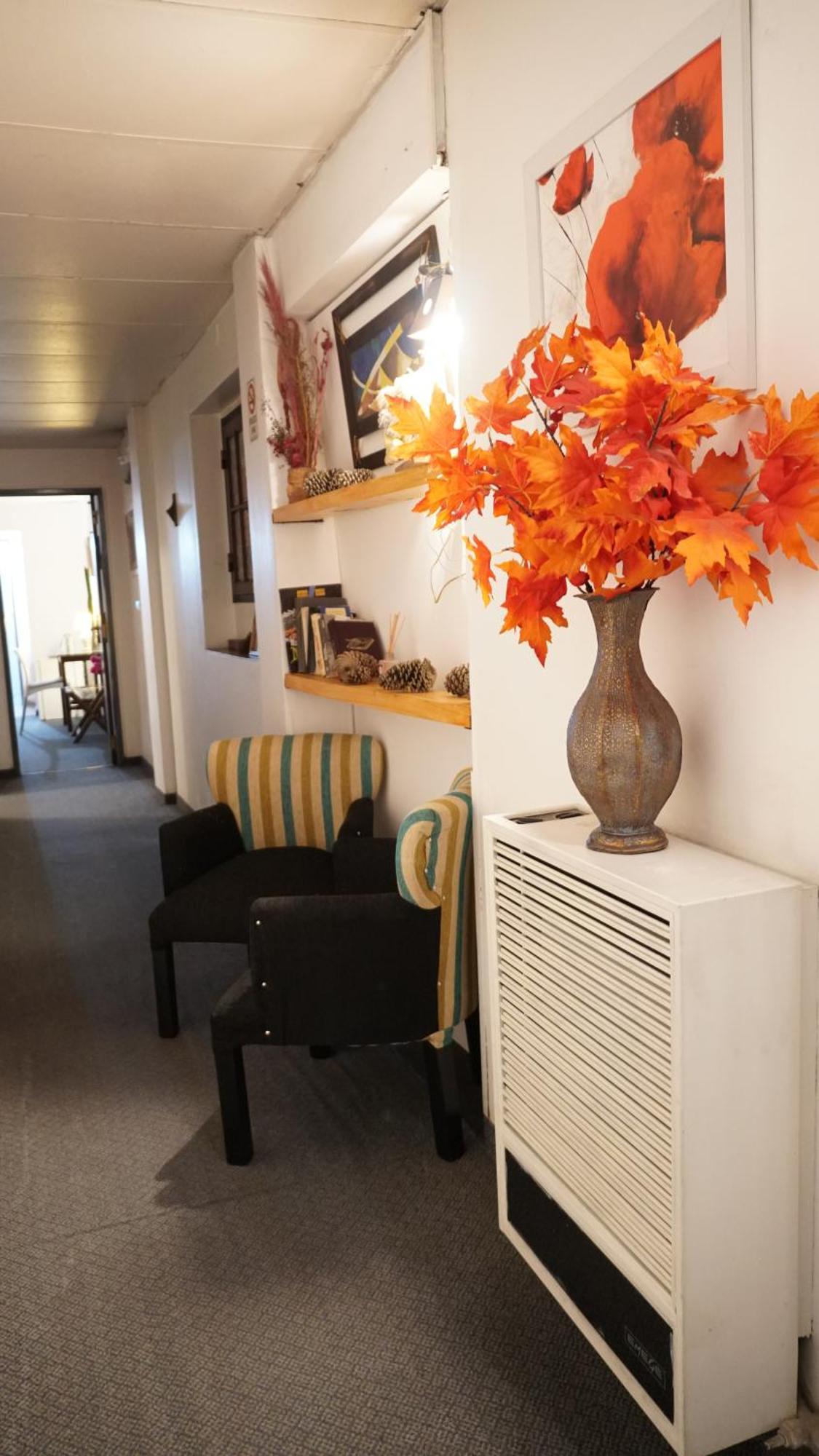 Hostel & Spa Mediterranea コルドバ エクステリア 写真